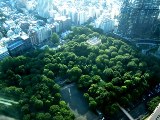 画像の説明 画像の説明