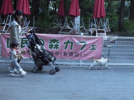 区民の森