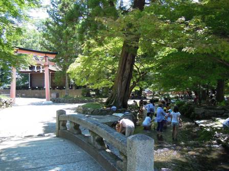 上賀茂神社水遊び