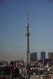 画像の説明 画像の説明