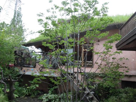屋根緑化カフェ