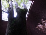 画像の説明 画像の説明