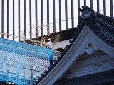 画像の説明 画像の説明