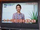 画像の説明 画像の説明