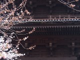 画像の説明 画像の説明