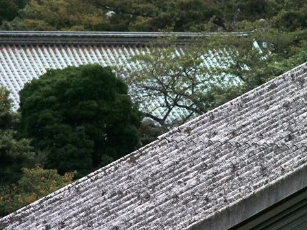JR御茶ノ水駅階段の屋根