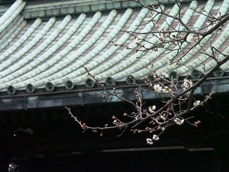画像の説明