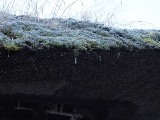 画像の説明 画像の説明