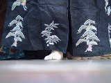 画像の説明 画像の説明