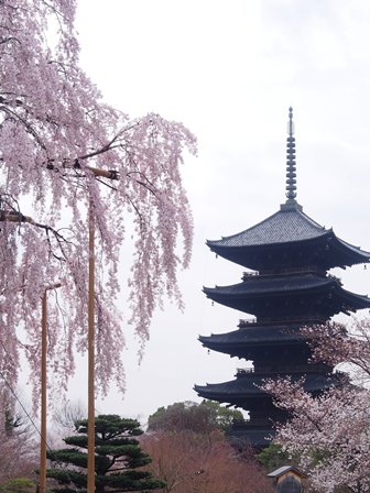 花と屋根　東寺五重塔P3290039