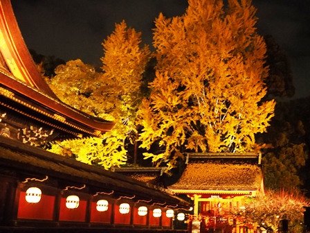 紅葉葺きの北野天満宮