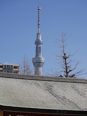 銅屋根と鉄塔P2090278