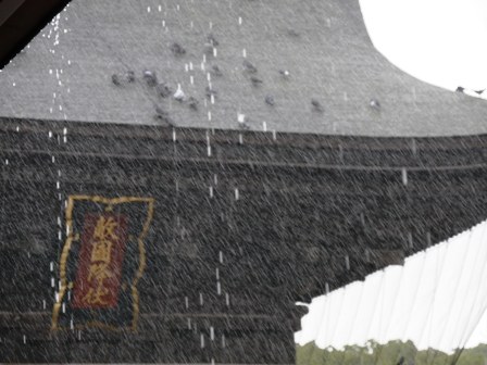 筥崎宮のあめ　楼門P1010462