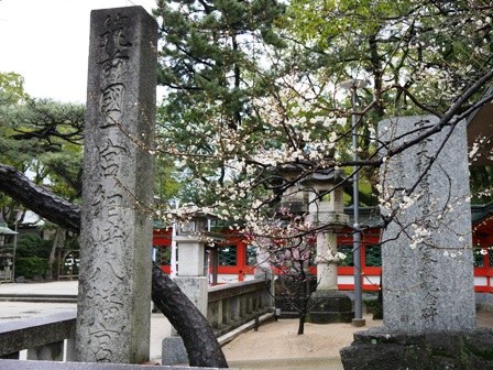 一宮箱崎八幡宮　梅　P1010485