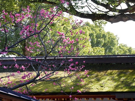 天満宮の回廊 天満宮の回廊