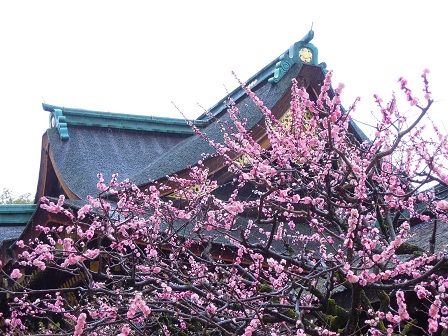 3年前のいまごDSCN3654 3年前のいまごDSCN3654