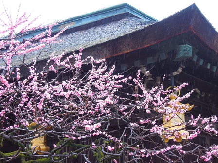 korede wakarimasune DSCN3653 korede wakarimasune DSCN3653