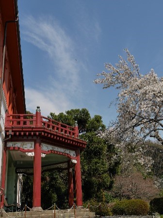 小石川P2100479_copy 小石川P2100479_copy