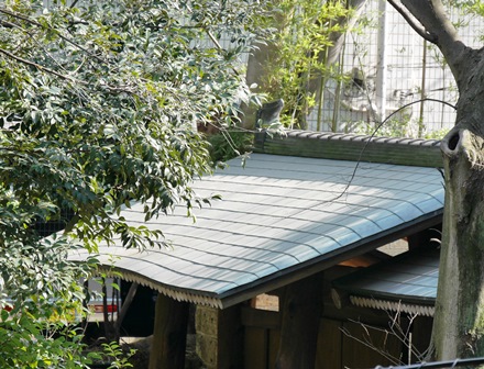 門　小石川銅御殿P2100587