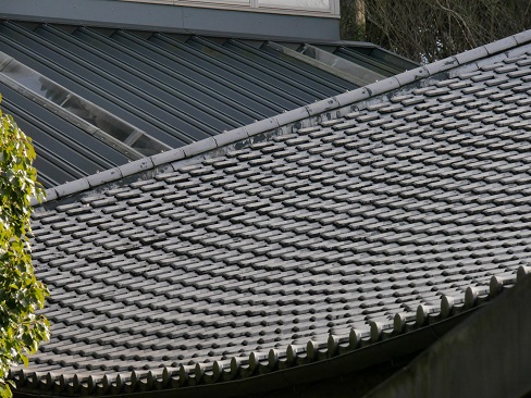 P1010897.jpg P1010897.jpg