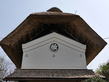 okiyane P2090799 okiyane P2090799