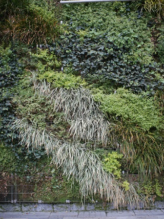 hekimennryokuka P2100689