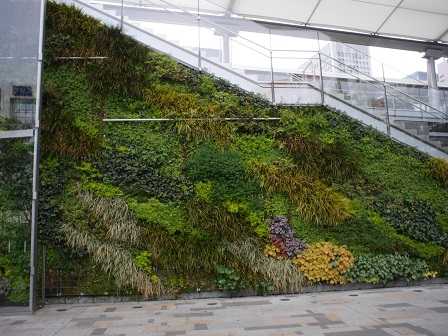グランルーフ　大エスカレータの壁面緑化P2100678