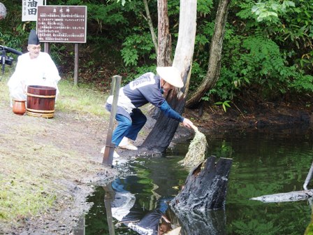 天智天皇の時代と同じようにカグマで採油し、桶に絞り出す。