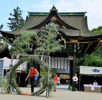 P2130747 (2) P2130747 (2)