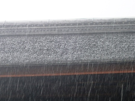 檜皮P8170053 檜皮P8170053