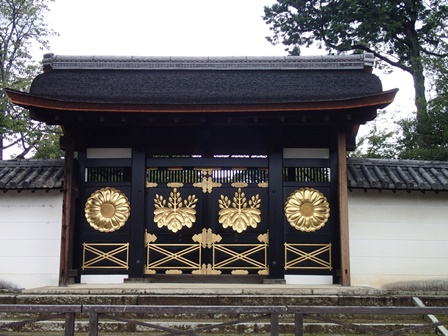 雨上がり P8170088 雨上がり P8170088