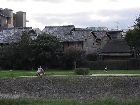 鴨川自転車 鴨川自転車
