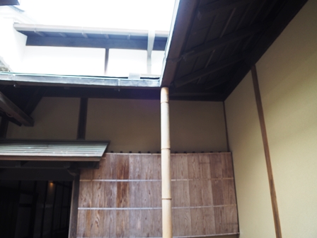 光琳①PA160030 光琳①PA160030