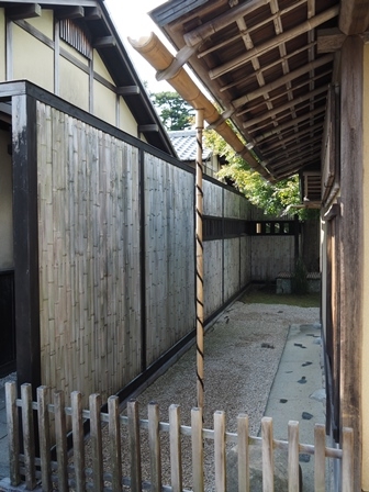 光琳③ PA160042 光琳③ PA160042