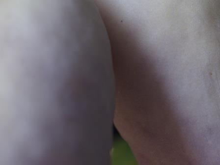 mitsuba アケビ 3 mitsuba アケビ 3