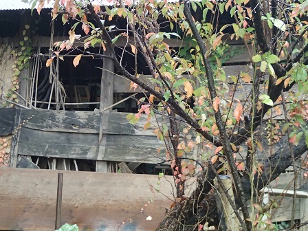 絵日記鶴川PB080014 絵日記鶴川PB080014