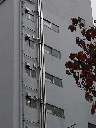 竪樋紅葉とP2170038 竪樋紅葉とP2170038