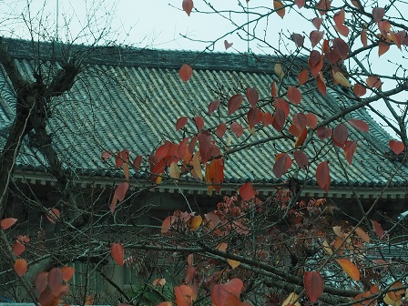 紅葉と四天王寺のわきたち役PC040249 紅葉と四天王寺のわきたち役PC040249