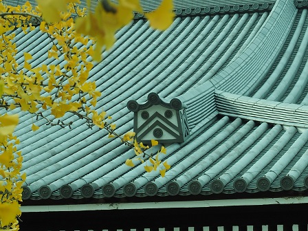 降棟鬼男くん黄葉の美しさに目を丸くする。PC060050