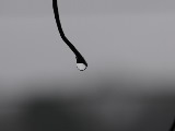 画像の説明 画像の説明