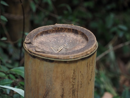 同パラペット一部損傷　2180269