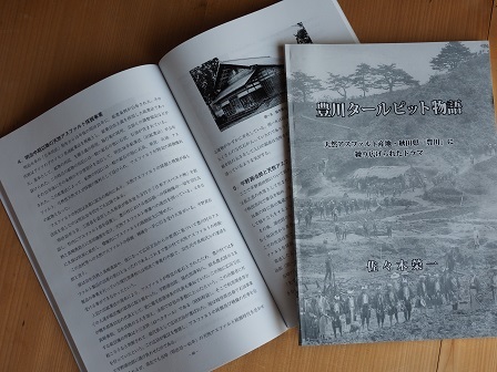 豊川タールピット物語　P3160015