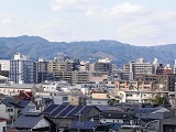 画像の説明 画像の説明