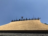 画像の説明 画像の説明