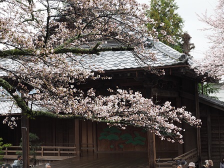 春日神社能舞台P4080167