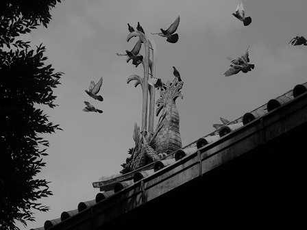 屋根の守り神　P9260250