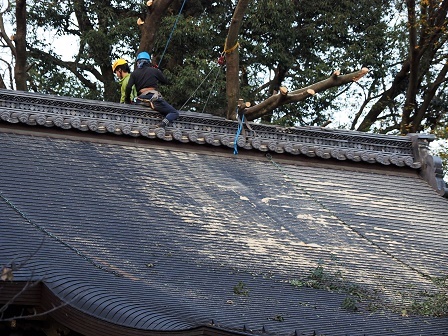 屋根屋ではない植木屋　PB050280 (2)