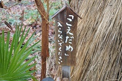画像の説明 画像の説明