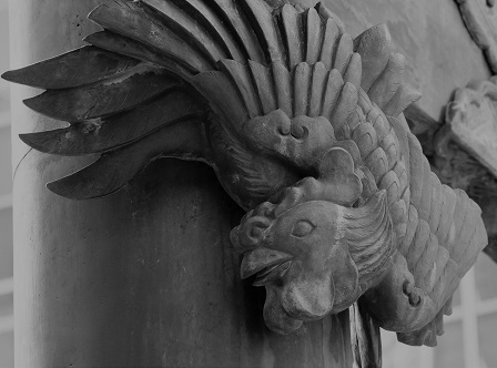 朱雀 PG9P0898 朱雀 PG9P0898