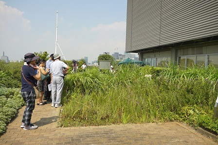 屋上庭園DSC06800